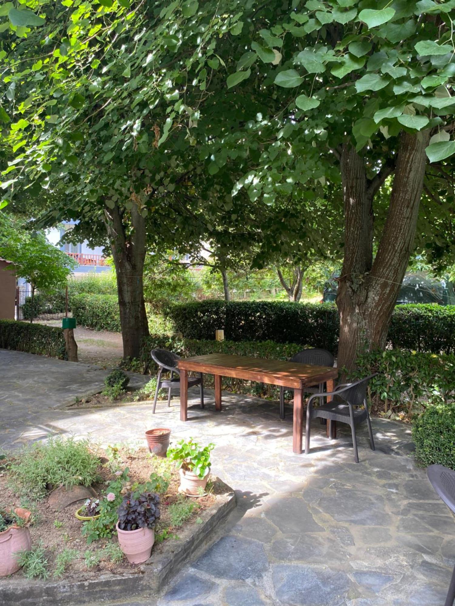 Paparizou Apartments Kokkino Nero ภายนอก รูปภาพ